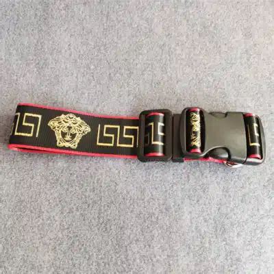 versace dog collars|versace dog collar and leash.